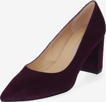 PETER KAISER Pumps in Purple: front