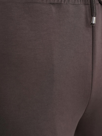 MixRay Regular Trousers in Brown