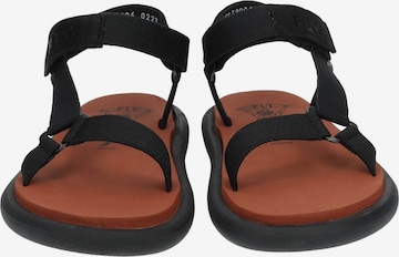 FLY LONDON Strap Sandals in Black