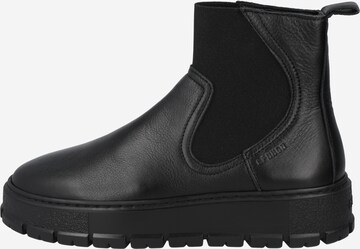 Copenhagen Chelsea boots i svart