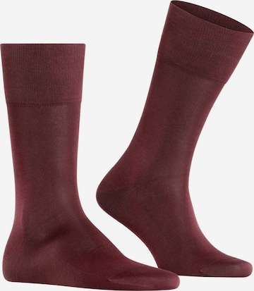 FALKE Socks in Red