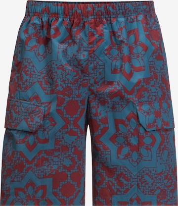 regular Pantaloni per outdoor di JACK WOLFSKIN in blu: frontale