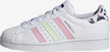 ADIDAS ORIGINALS Sneaker 'Superstar' in Weiß: front