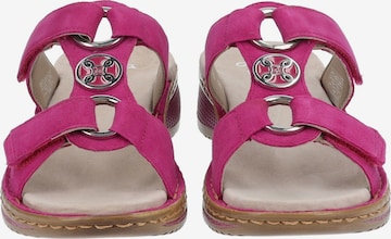 ARA Pantolette in Pink