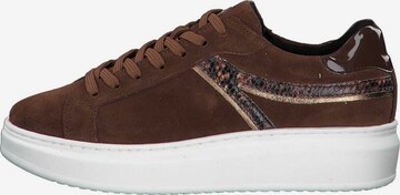 TAMARIS Sneakers in Brown