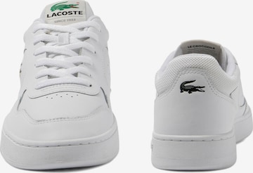 LACOSTE Sneaker low 'Lineset' i hvid