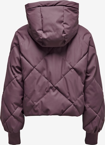 JDY Between-Season Jacket 'Ulrikka' in Purple