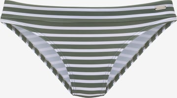 VENICE BEACH Bikini Bottoms in Green: front