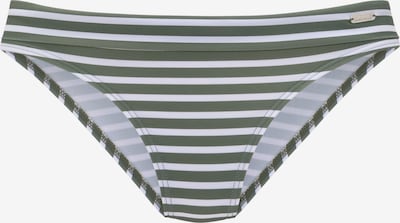 Slip costum de baie VENICE BEACH pe verde închis / alb murdar, Vizualizare produs