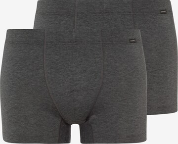 Hanro Pants ' Cotton Essentials ' in Grau: predná strana