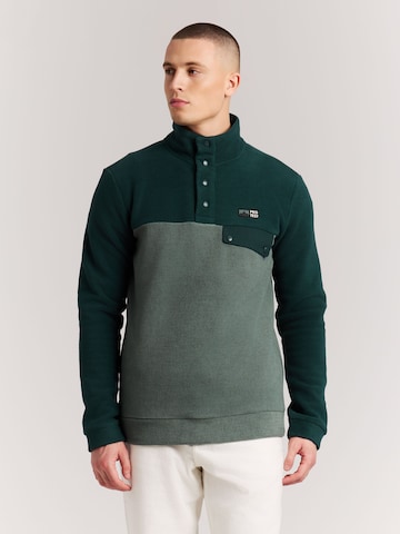 Sweat de sport 'PRTWigland' PROTEST en vert