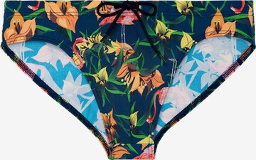 HOM Swim Trunks ' Flamingo ' in Blue: front