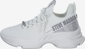 STEVE MADDEN Низкие кроссовки в Белый: спереди