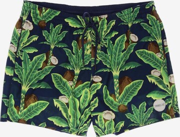 O'NEILL Shorts in 33 in Green: front