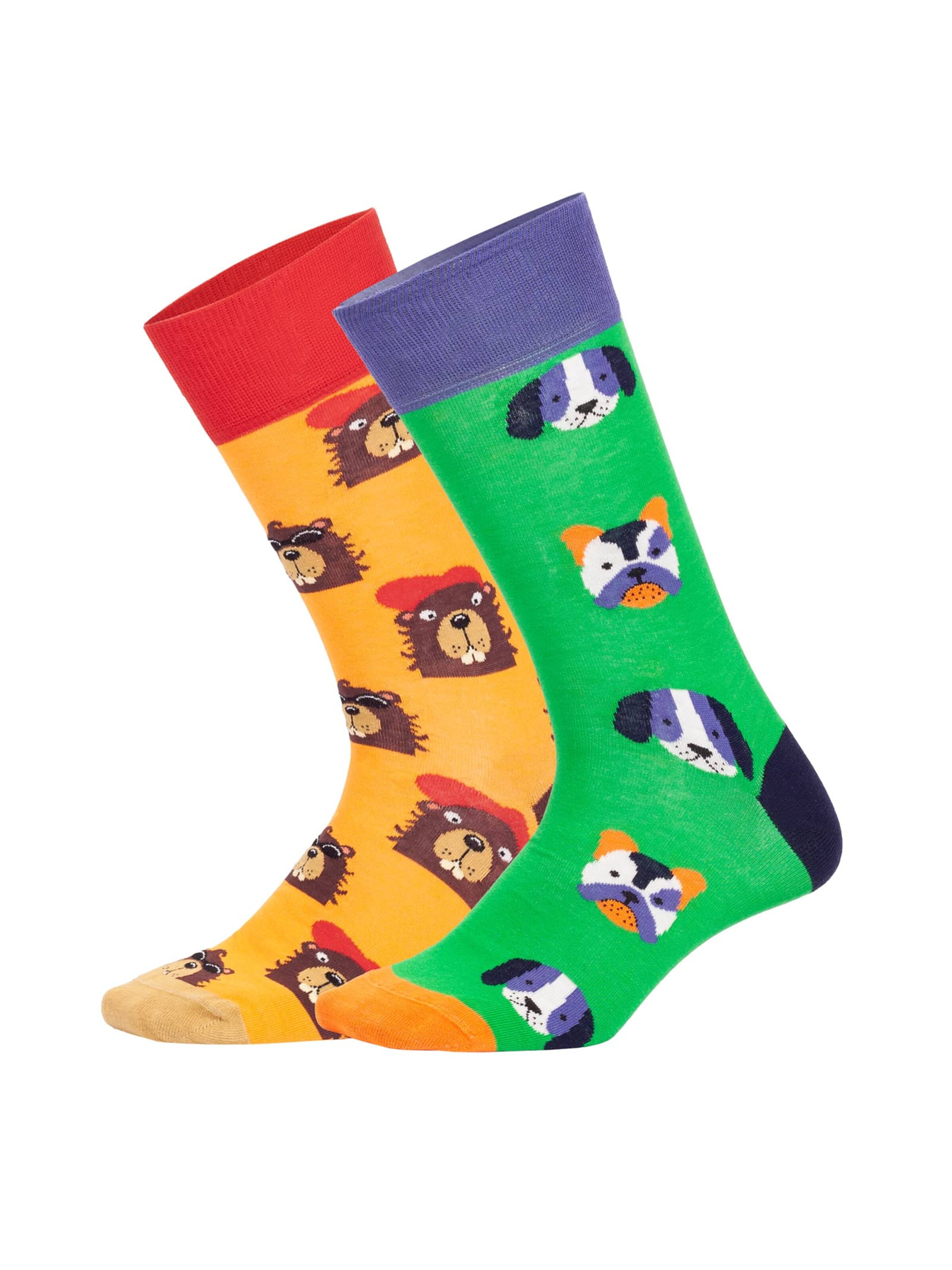 DillySocks Socken 'Dog vs Biever' in Mischfarben: Vorderseite