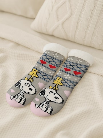 Snoopy & Die Peanuts Socks in Grey