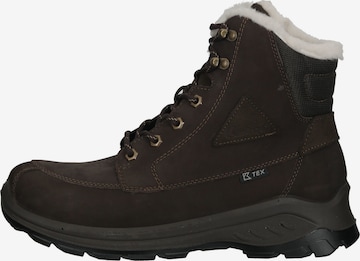 Kastinger Lace-Up Boots in Brown
