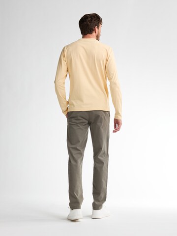 Petrol Industries Regular Pants in Brown
