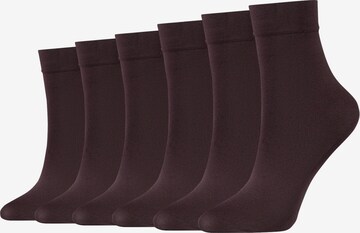 Chaussettes fines camano en marron : devant