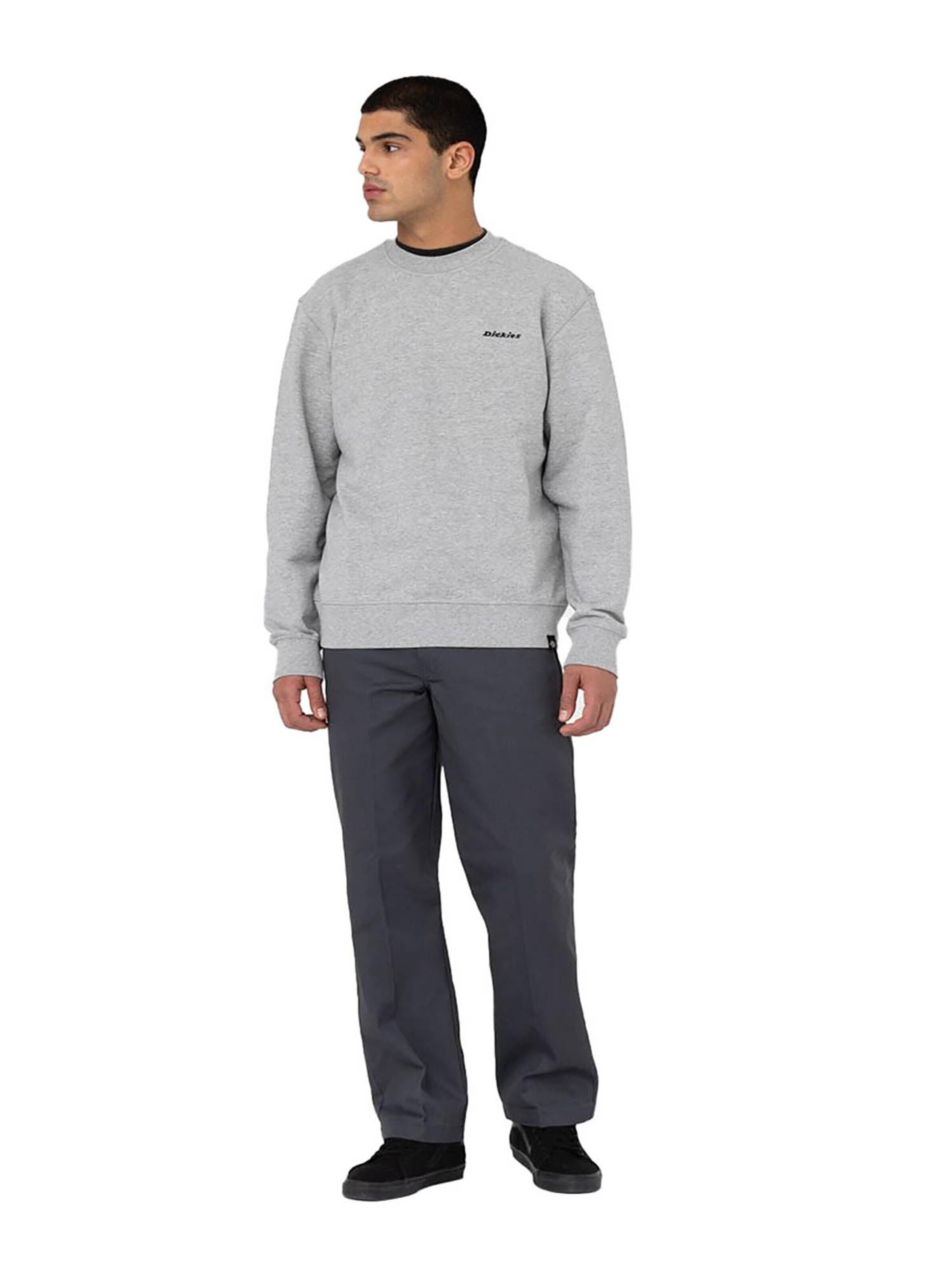 regular Pantaloni '873' di DICKIES in grigio