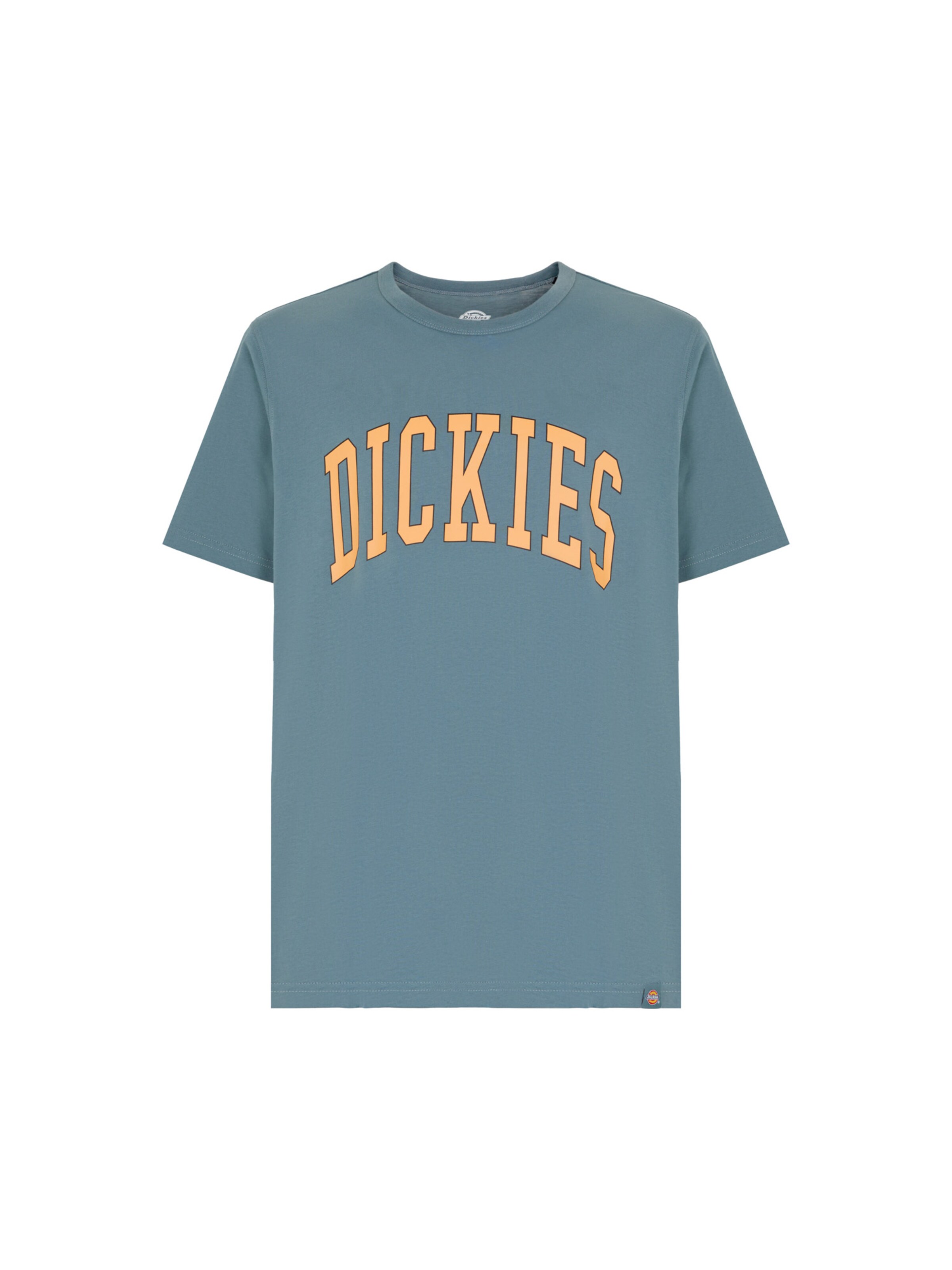 Tricou 'Aitkin' de la DICKIES pe albastru: față