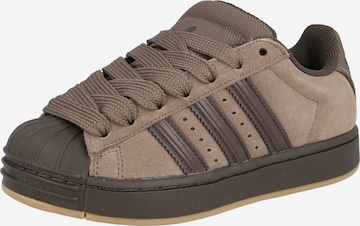 ADIDAS ORIGINALS Tennarit 'SUPERSTAR' värissä ruskea: etupuoli