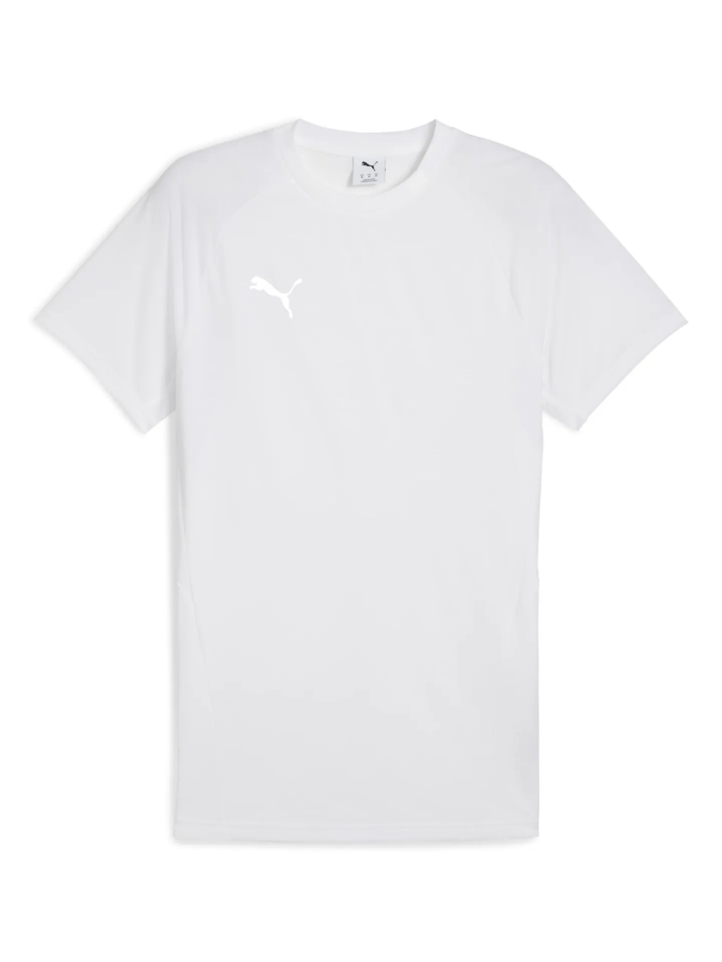 T-Shirt fonctionnel 'TeamEvostripe' PUMA en blanc : devant