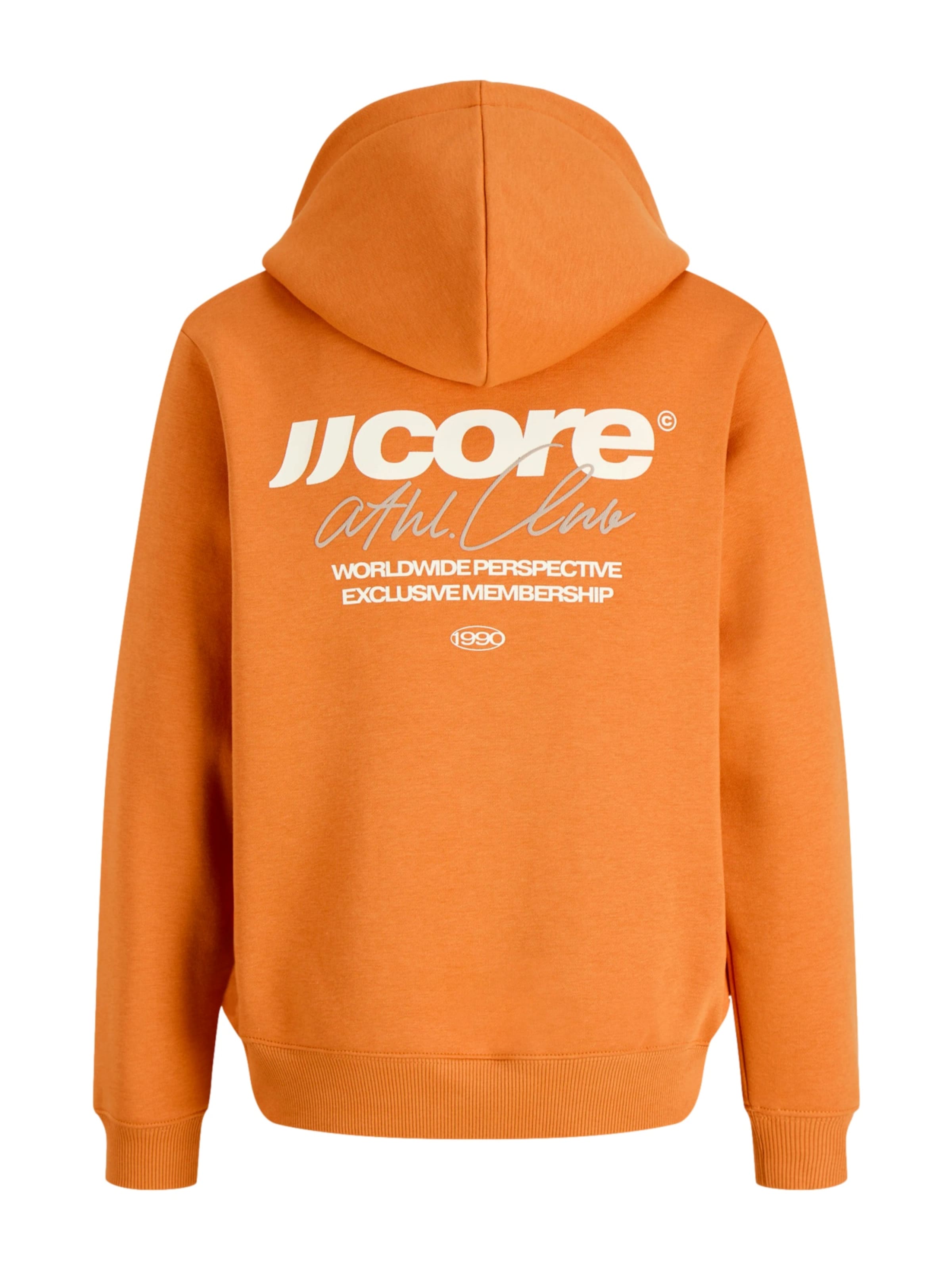 Jack & Jones Junior Sweatshirt 'JCOClub' in Orange