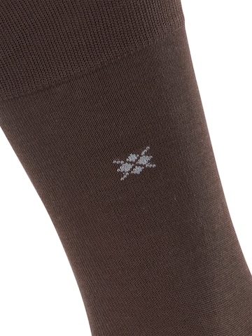 BURLINGTON Socken 'Dublin' in Braun