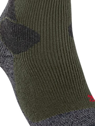 FALKE Athletic Socks 'TK-X Expedition' in Green