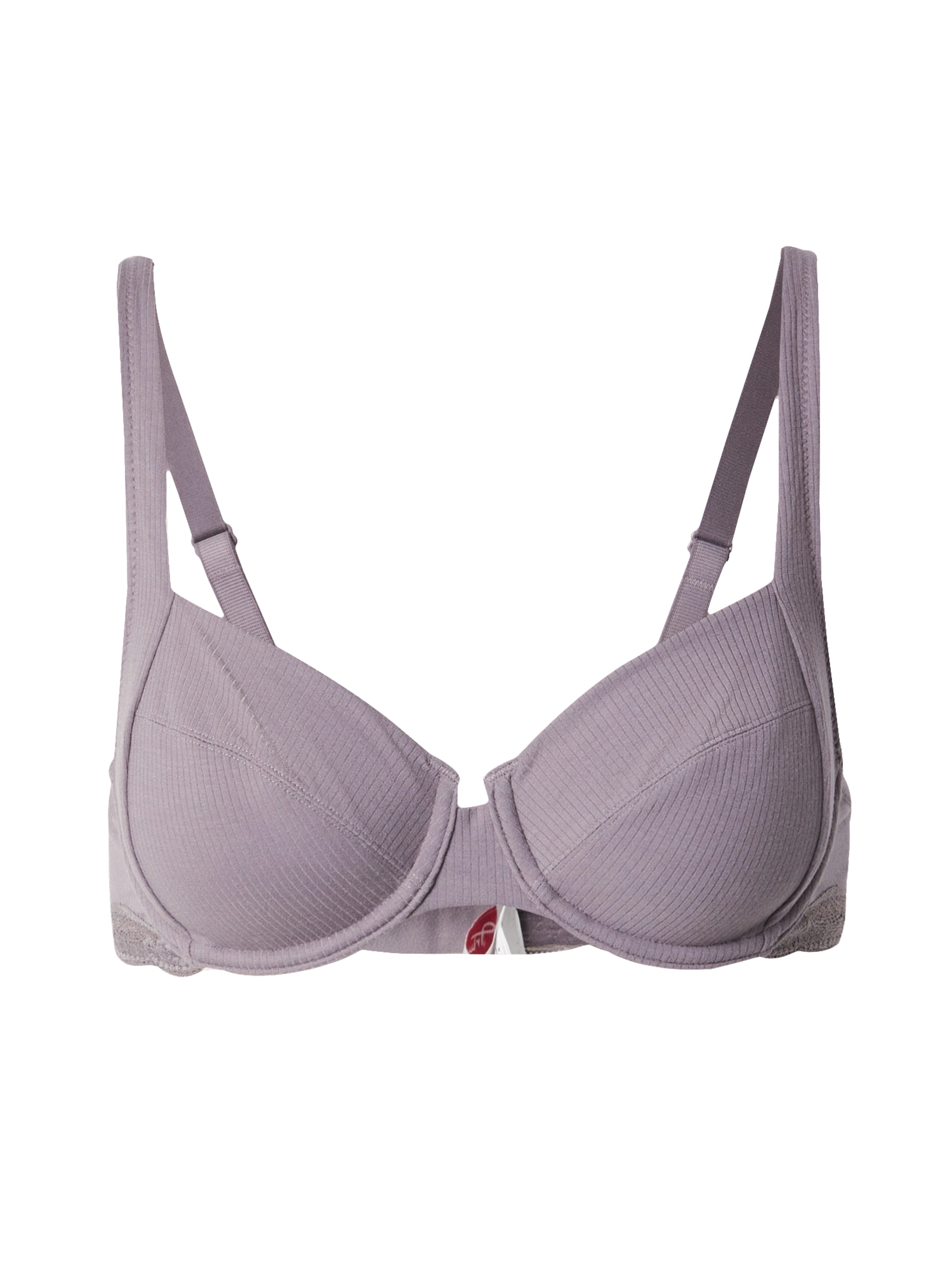 Bustino Reggiseno 'Natural Spotlight' di TRIUMPH in grigio: frontale