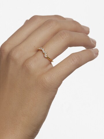 P D PAOLA Ring 'Dance' in Gold