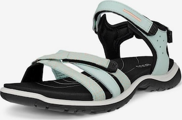 Sandales de randonnée 'Offroad Roam' ECCO en bleu : devant
