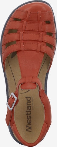 Westland Sandals 'IBIZA' in Red