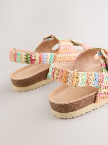 Next Sandals in Mixed colors