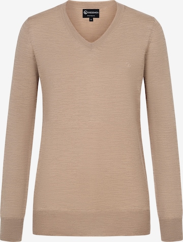 GIESSWEIN Sportpullover in Beige: Vorderseite