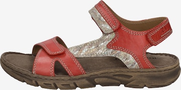 JOSEF SEIBEL Sandals 'Brenda 03' in Red: front