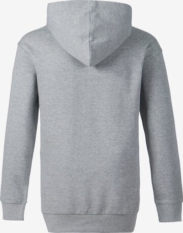 Cruz Sweater 'Sweeny' in Grey