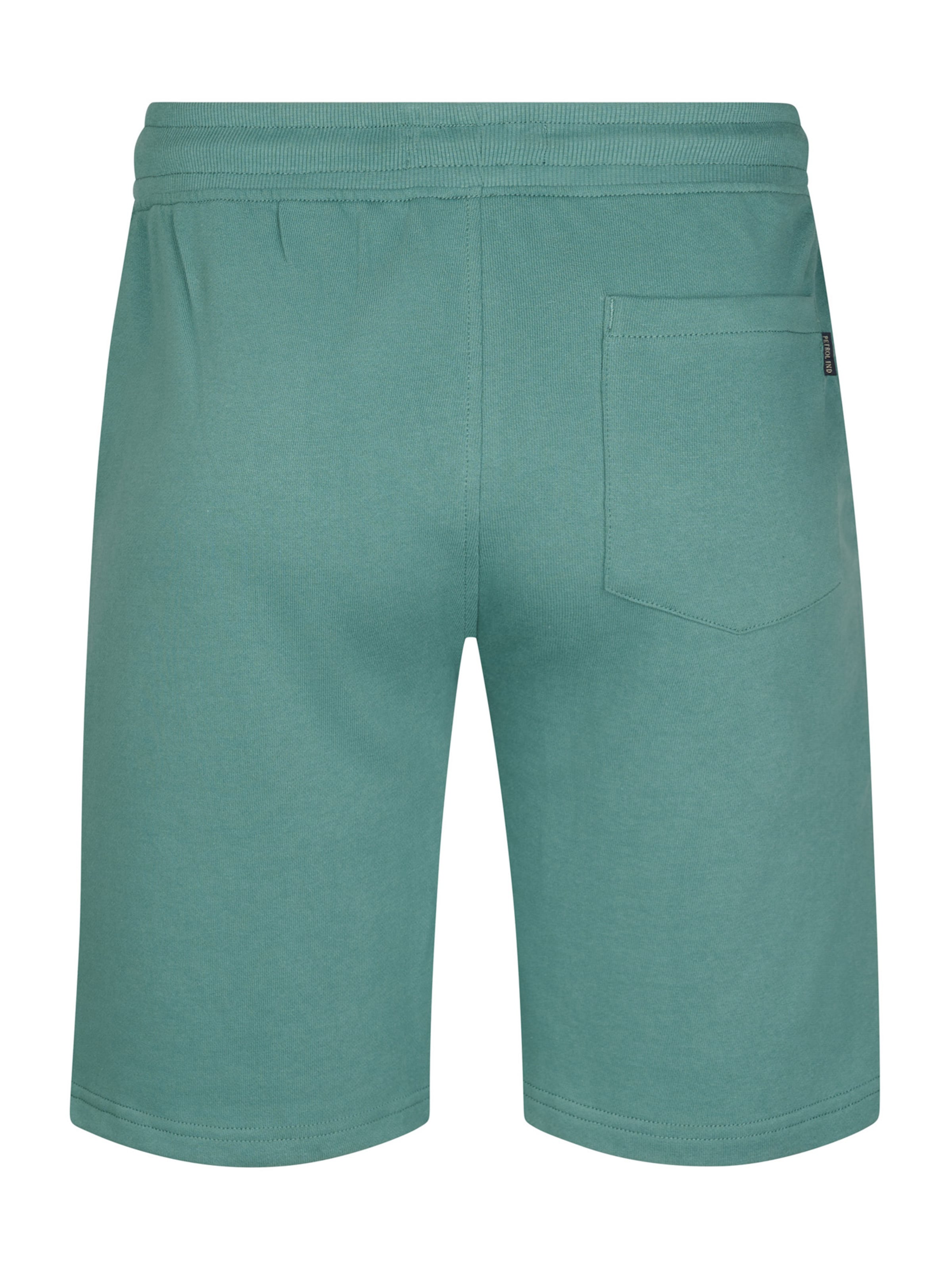 Petrol Industries Regular Pants in Green