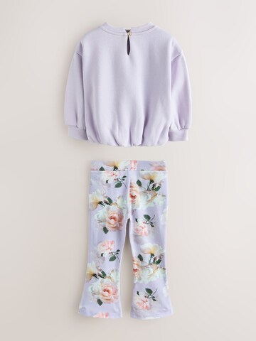 Set Baker by Ted Baker en violet