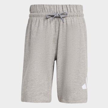 ADIDAS SPORTSWEAR Træningsdragt i grå