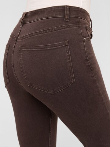 CALZEDONIA Regular Hose in Braun