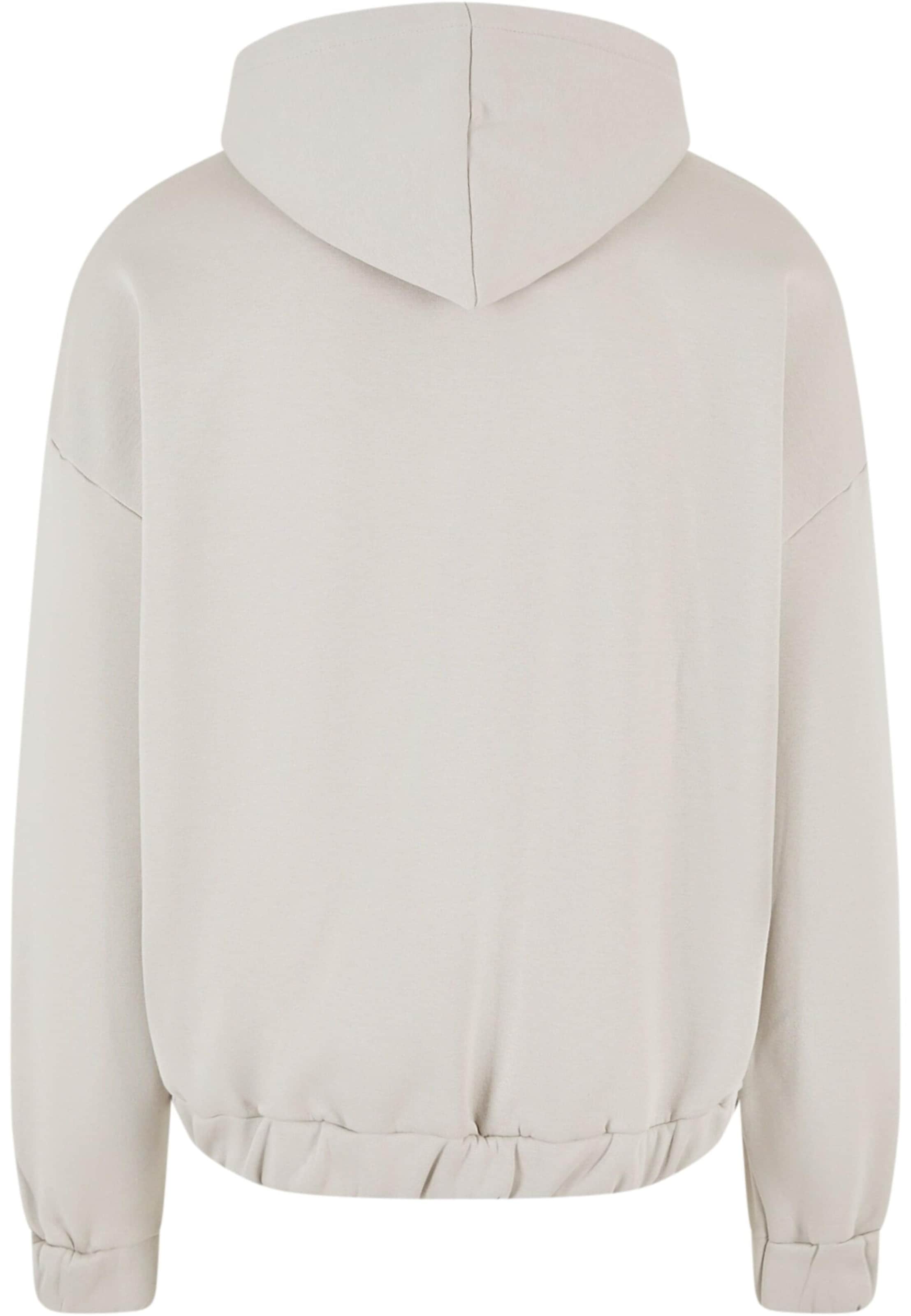 Dropsize Sweatjacke in Grau