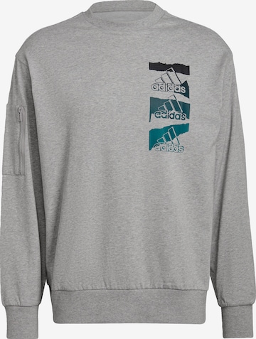 Sweat de sport ADIDAS SPORTSWEAR en gris : devant