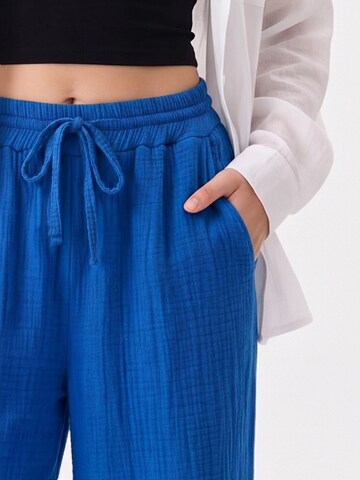 TorWeit Regular Pants in Blue