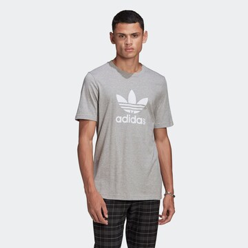 ADIDAS ORIGINALS T-Shirt 'Adicolor Classics Trefoil' in Grau: Vorderseite