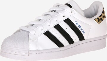 ADIDAS ORIGINALS Sneakers 'Superstar' in White: front