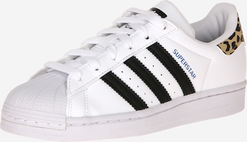 ADIDAS ORIGINALS Trainers 'Superstar' in White: front