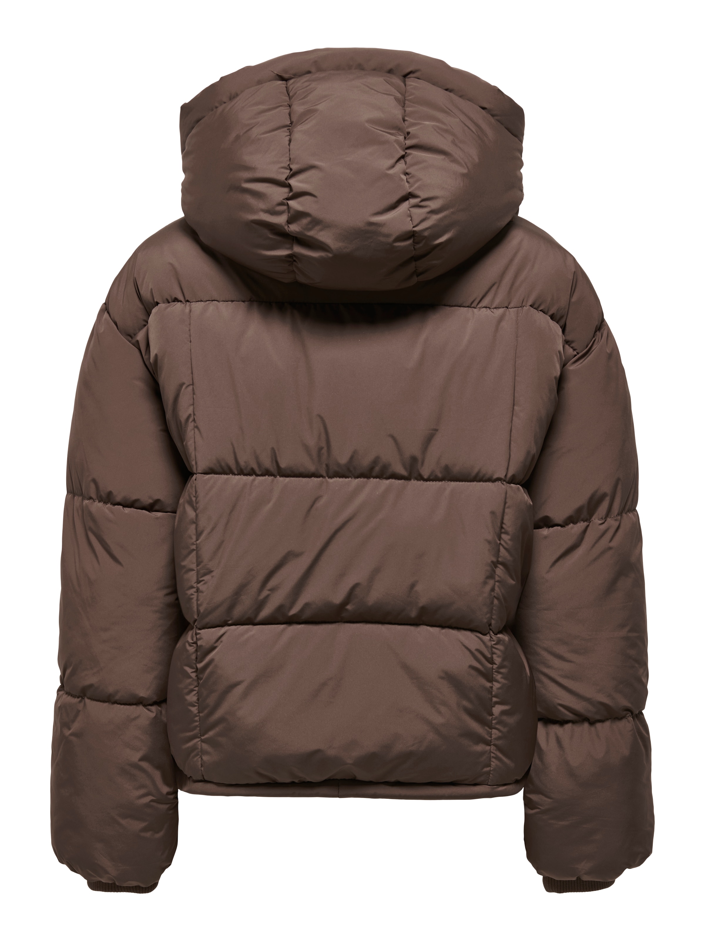 ONLY Зимняя куртка 'ONLCORNELIA' в Коричневый