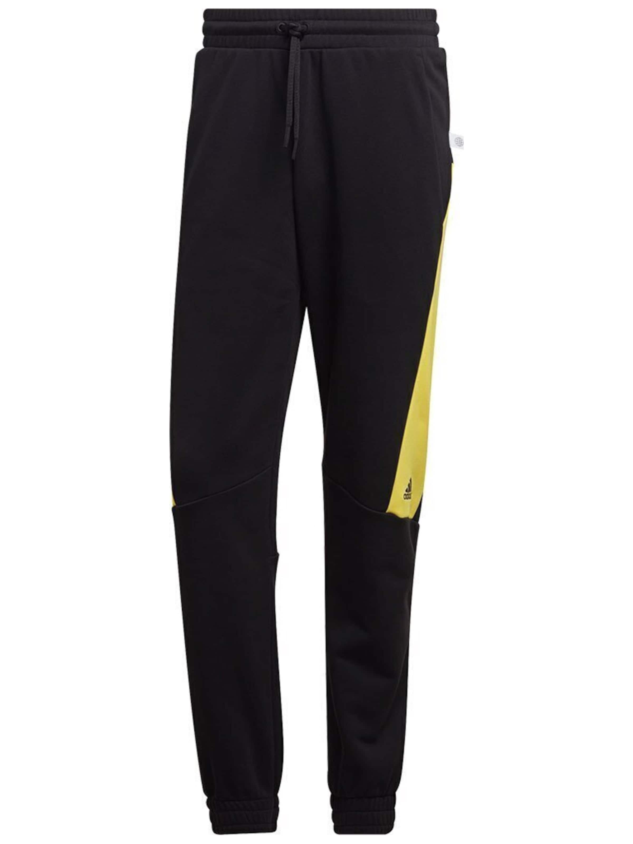 ADIDAS - regular Pantalón deportivo 'adidas Future Icons' en negro: frente